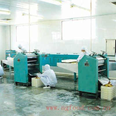 水產(chǎn)品零食新風(fēng)尚 榮成南光食品75g鮮烤魚片的品質(zhì)之旅