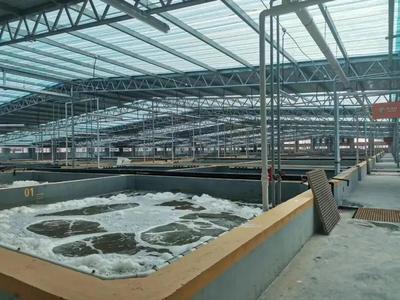 缺蝦百萬噸，產(chǎn)業(yè)迎變革 工廠化養(yǎng)蝦面積將破千萬平米，第二屆中國工廠化養(yǎng)蝦大會(huì)8月啟幕