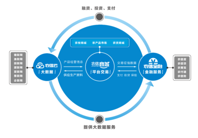 農(nóng)業(yè)項目快速推廣策略 教育咨詢驅(qū)動的創(chuàng)新路徑