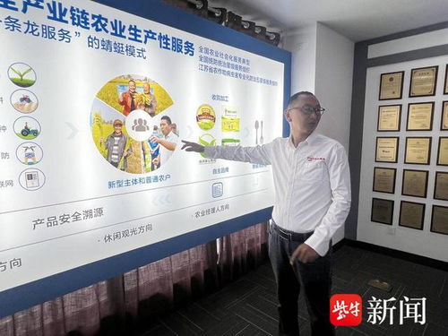 數智養豬場 AI管家全天候守護，教育咨詢開啟智能養殖新篇章